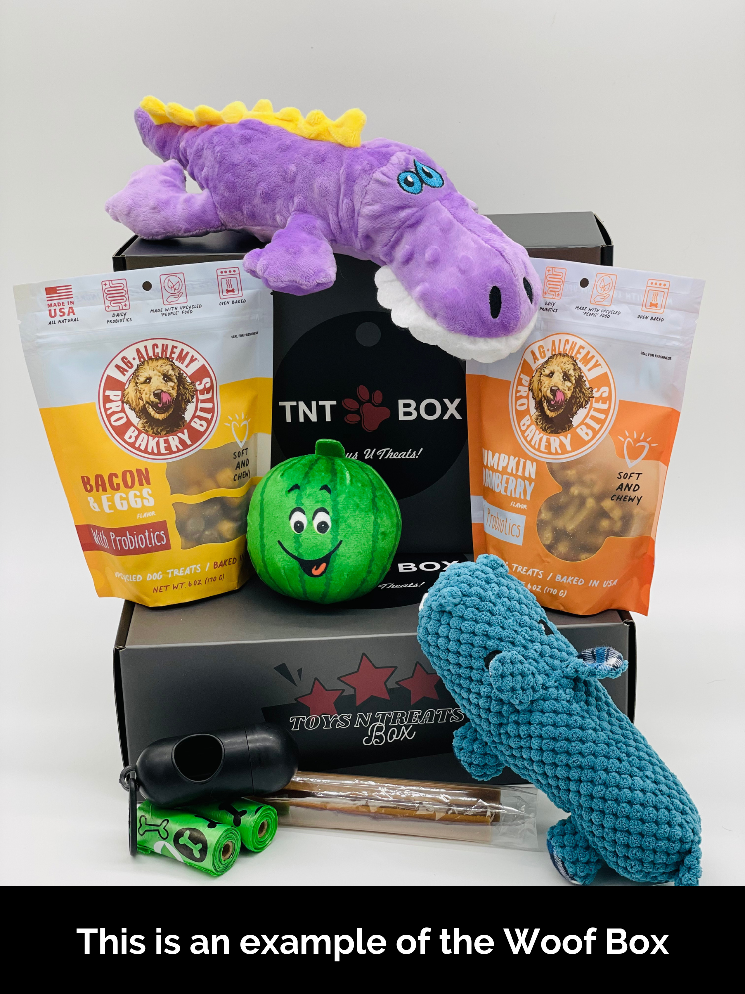 Toys N Treats Gift Boxes