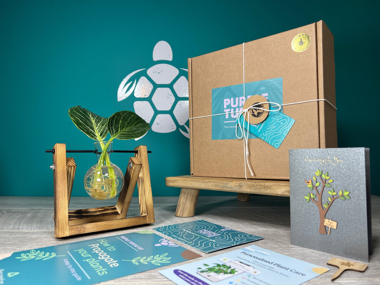 Plant Propagation Gift Set #2