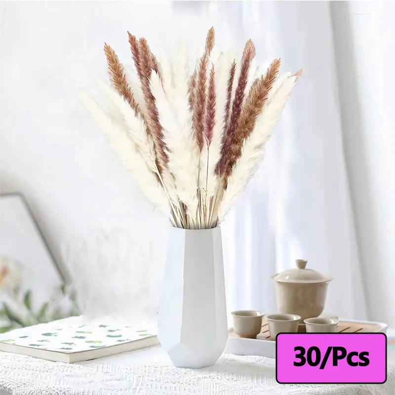 300pcs Rabbit Tail Grass Flower Bouquet