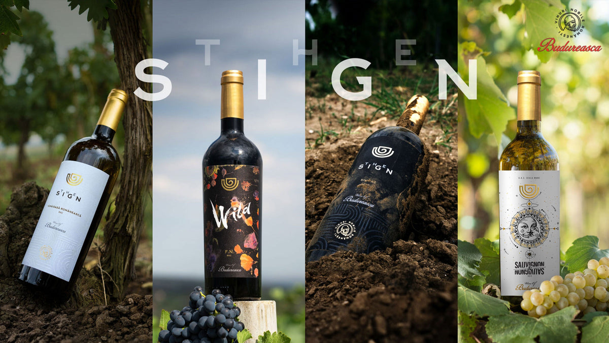 Budureasca The Sign Feteasca Neagra Wild Red Wine