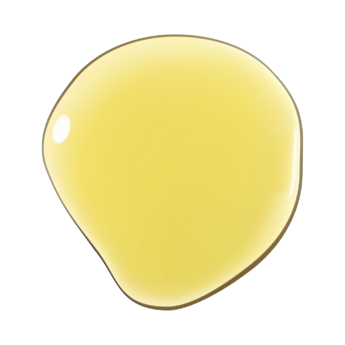 Tonic & Tame Duo | Growth Oil • Frizz Serum