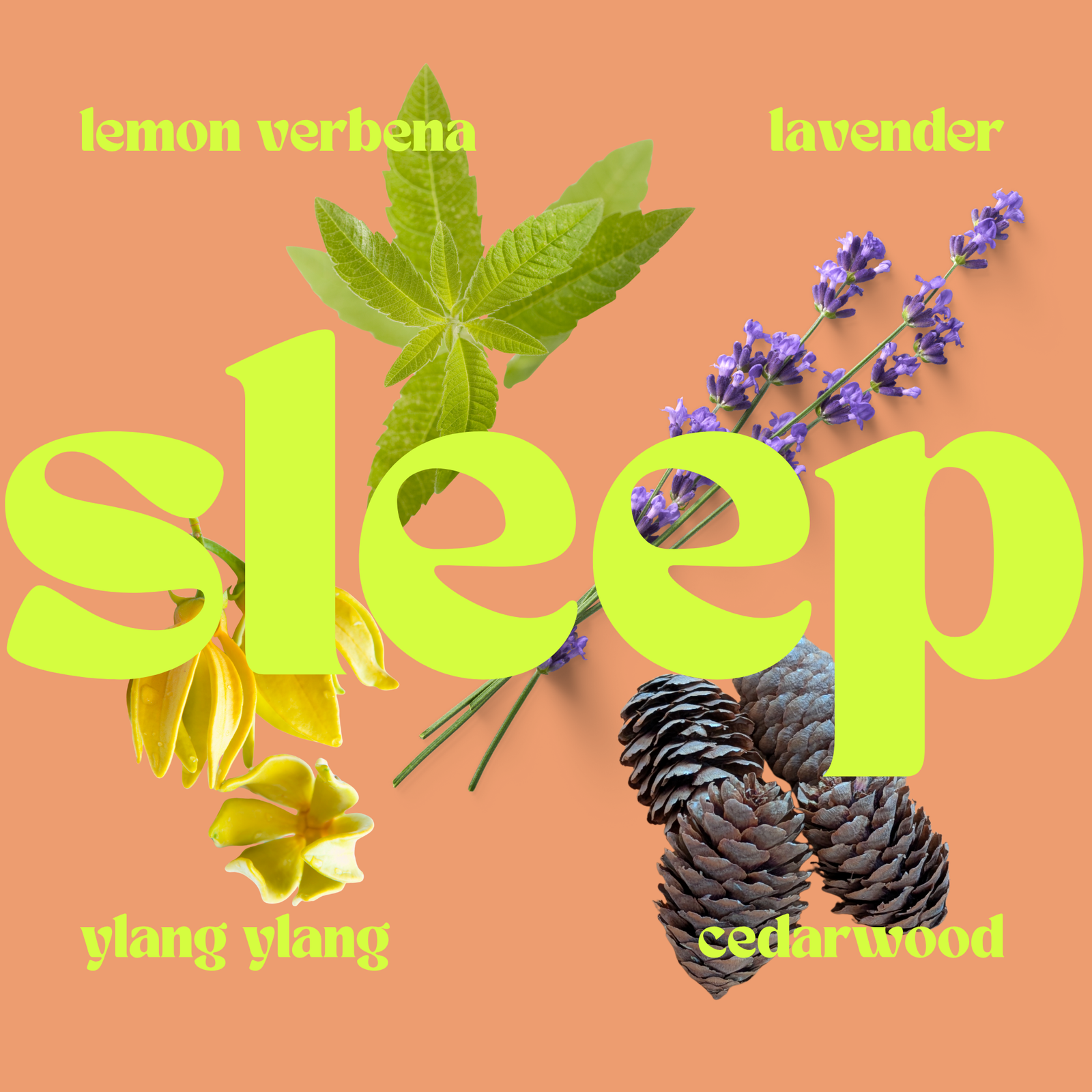 The Relaxation Gift Set