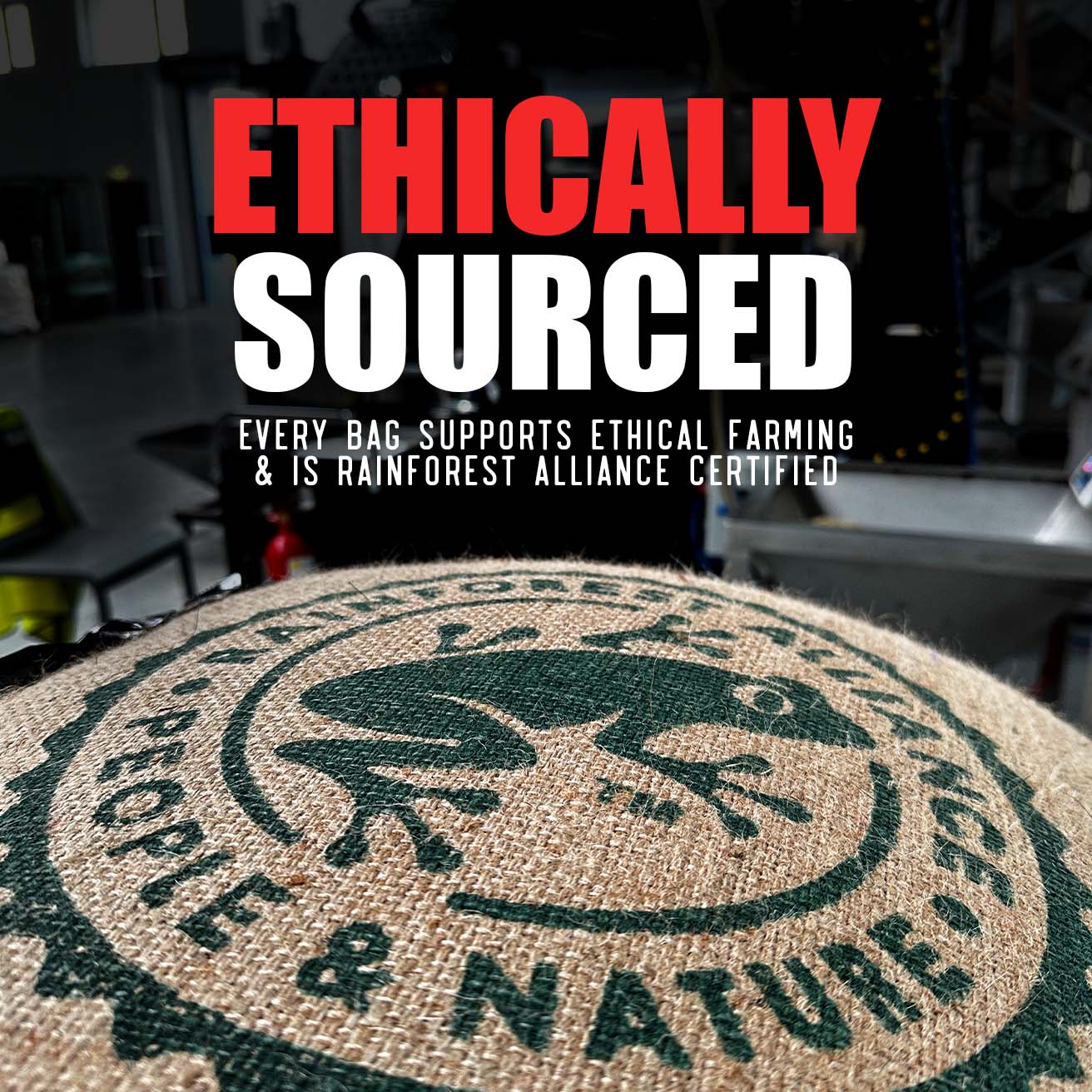 Nespresso® Capsules - French Vanilla